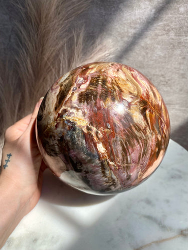 petrified wood sphere, extra large petrified wood, polished petrified wood, large crystal sphere
