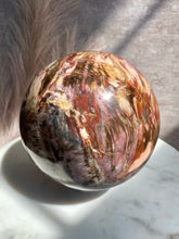 Load image into Gallery viewer, petrified wood sphere, extra large petrified wood, polished petrified wood, large crystal sphere
