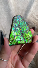 Load and play video in Gallery viewer, High Quality Polished Ammolite P
