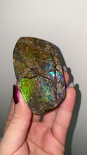Load and play video in Gallery viewer, Ammolite Specimen B
