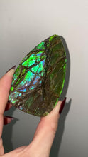 Load and play video in Gallery viewer, Ammolite Specimen X
