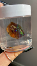 Load and play video in Gallery viewer, Ethiopian Opal R
