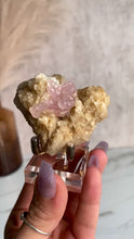 Load and play video in Gallery viewer, Crystallized Rose Quartz Specimen (Y)
